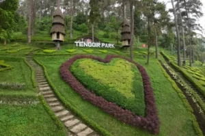 Best Tourist Attractions in Karanganyar You Must Visit for Vacation