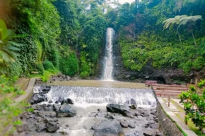 Best Tourist Attractions in Kuningan for a Refreshing Holiday Experience
