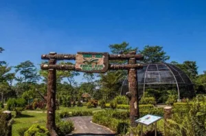 Must-Visit Tourist Attractions in Boyolali for a Fun Vacation
